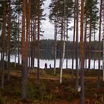 Mesikaemmen
