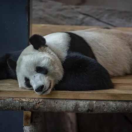 Mesikaemmen Ähtäri