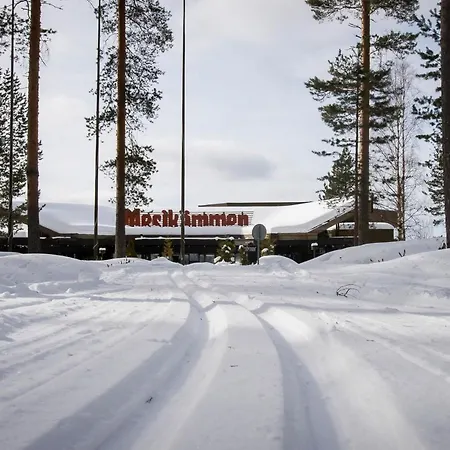 Mesikaemmen Hotel Ähtäri