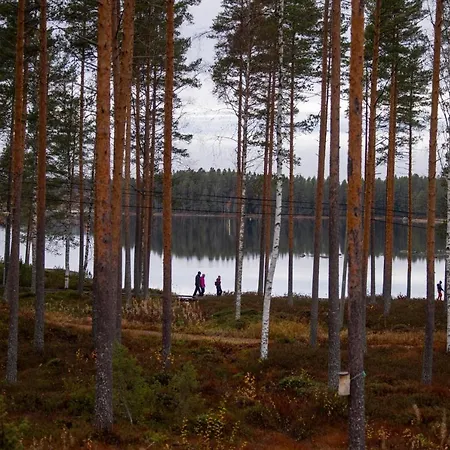 Mesikaemmen