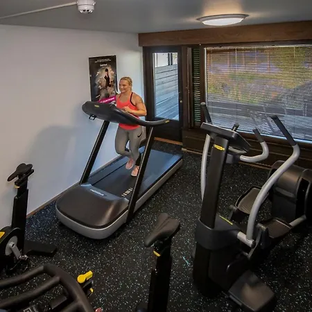 Mesikaemmen Hotel Ähtäri