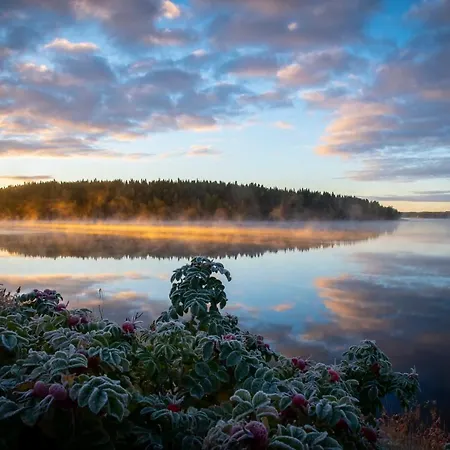 Hotel Mesikaemmen Ähtäri