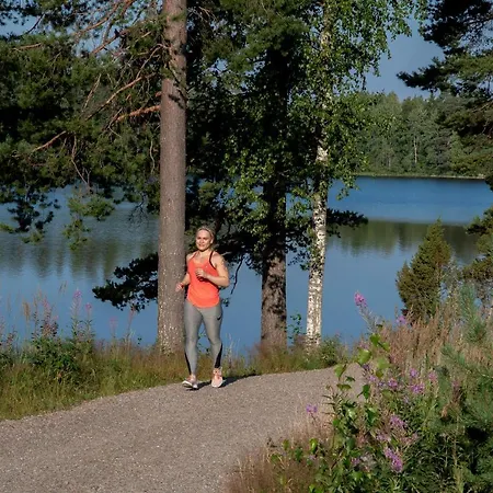 Hotel Mesikaemmen 3*