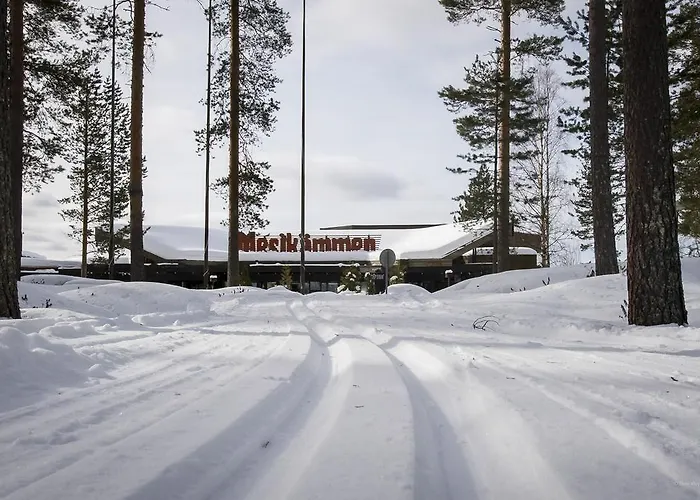 Mesikaemmen Ähtäri