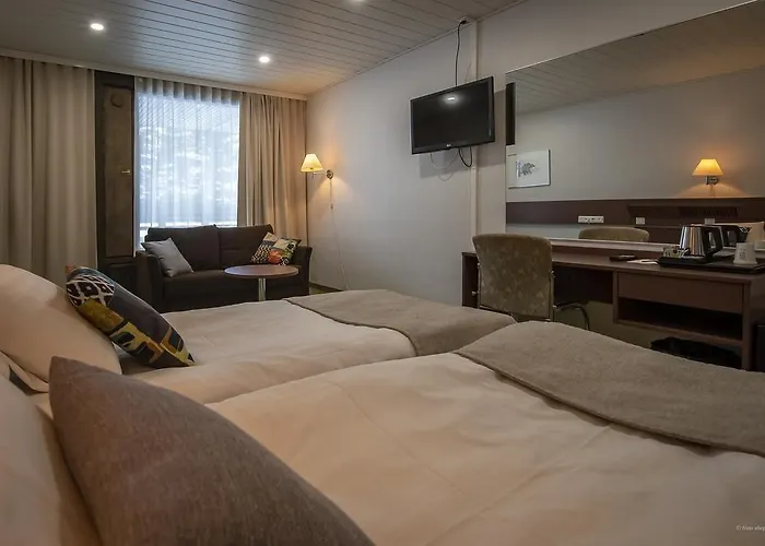 Mesikaemmen Ähtäri