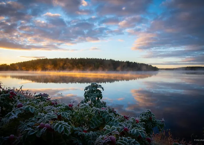 Otel Mesikaemmen Ähtäri