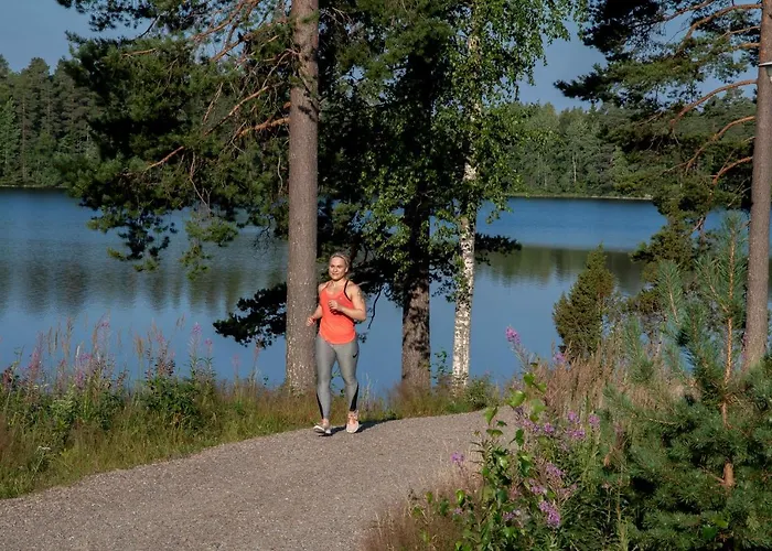 מלון Mesikaemmen 3*