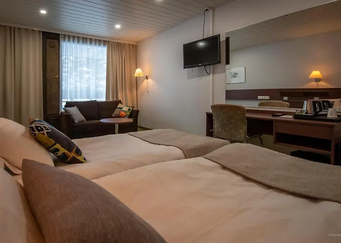 Mesikaemmen Ähtäri